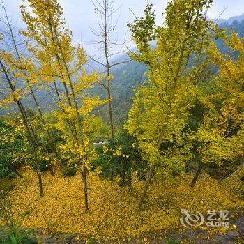 松阳过云山居精品酒店酒店提供图片