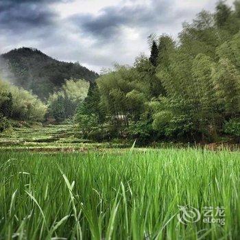 杭州青庭院落客栈酒店提供图片