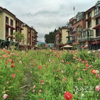 杭州青庭院落客栈酒店提供图片