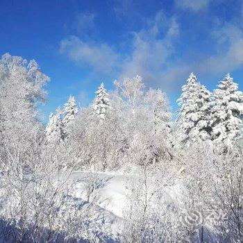 雪乡最东北客栈酒店提供图片