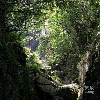 安吉无尘·茗宿酒店提供图片