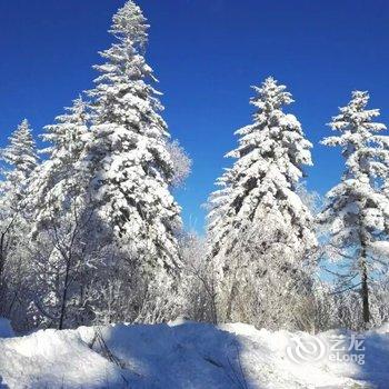 雪乡最东北客栈酒店提供图片