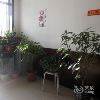 大同四通旅馆(左云县)酒店提供图片