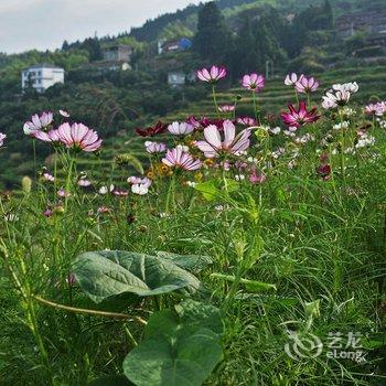 永泰聚仙居农家菜馆酒店提供图片