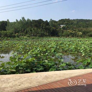 信阳一荷客栈酒店提供图片