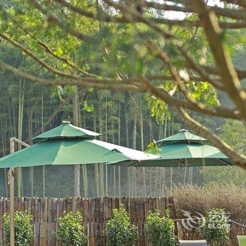 莫干山藓园山居精品民宿酒店提供图片