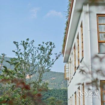 莫干山藓园山居精品民宿酒店提供图片