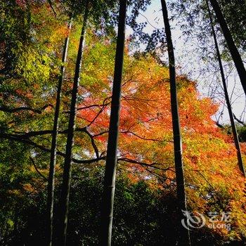 莫干山莫漾山居酒店提供图片