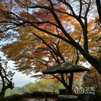 莫干山莫漾山居酒店提供图片