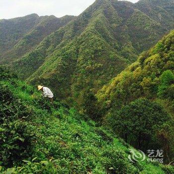 泾县月亮湾茶乡农家乐山庄酒店提供图片