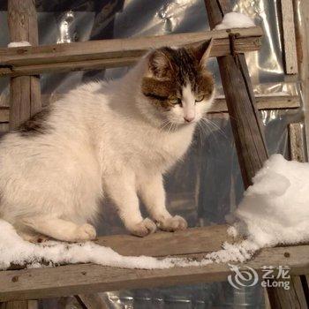 雪乡二浪河孙恒家庭旅馆酒店提供图片