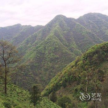 泾县月亮湾茶乡农家乐山庄酒店提供图片