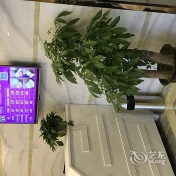 广州七橙酒店龙口西路店酒店提供图片