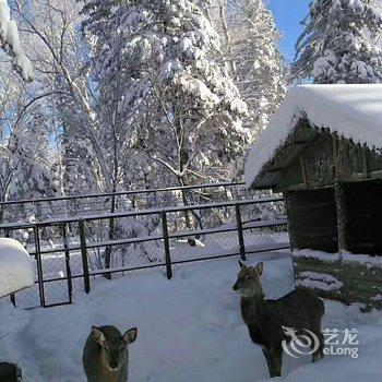 雪乡二浪河孙恒家庭旅馆酒店提供图片