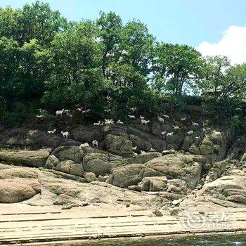 蛟河插树岭仙客居山庄酒店提供图片