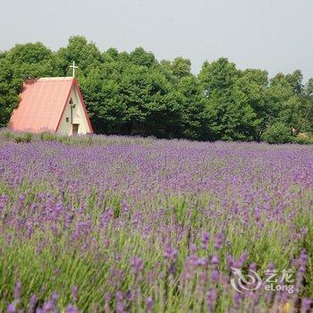 桐庐巴比松米勒庄园酒店提供图片