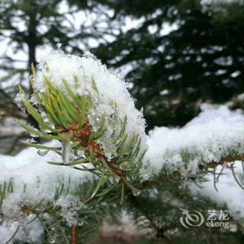 海林雪乡宋士章家庭旅馆酒店提供图片