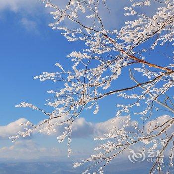 雪乡秀丽之家游多多客栈酒店提供图片