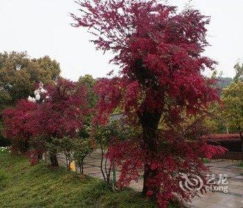 安徽敬亭山度假村(宣城)酒店提供图片