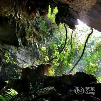 茂兰布依情农家乐酒店提供图片