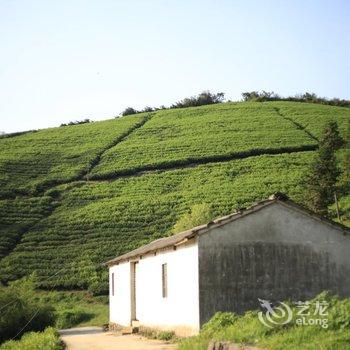 莫干山英源阁客栈酒店提供图片