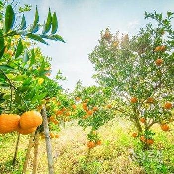 惠东白盆珠逸林温泉度假村酒店提供图片