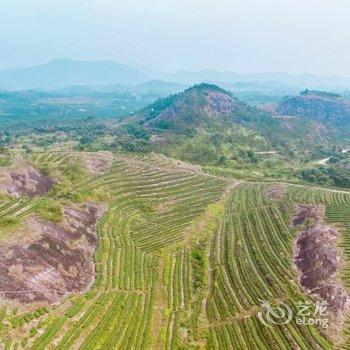 惠东白盆珠逸林温泉度假村酒店提供图片