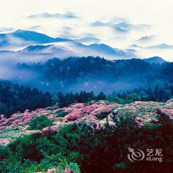 台州平地山庄酒店提供图片