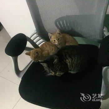 上海迪士林青年旅舍酒店提供图片
