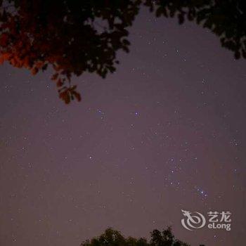 上海迪士林青年旅舍酒店提供图片