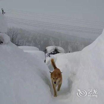 雪乡二浪河史俊艳家庭旅馆酒店提供图片