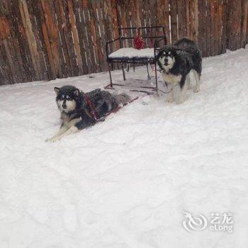 雪乡二浪河史俊艳家庭旅馆酒店提供图片