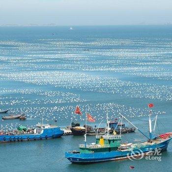 嵊泗枸杞鱼鲞民宿酒店提供图片