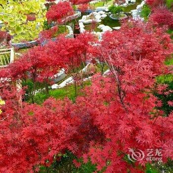 理县古尔沟华美达温泉度假酒店酒店提供图片