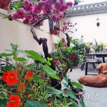 腾冲和顺杨小姐的庭院酒店提供图片