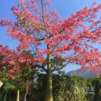 米易蓝湾阳光小屋家庭宾馆酒店提供图片