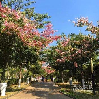 米易蓝湾阳光小屋家庭宾馆酒店提供图片