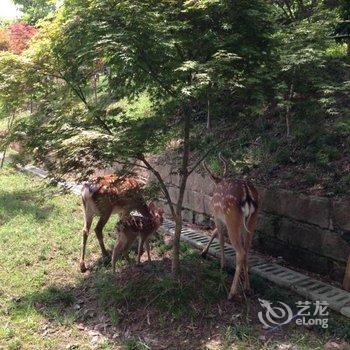 重庆市长寿湖太极岛紫竹宾馆酒店提供图片