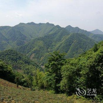 泾县月亮湾爱民竹林农家乐酒店提供图片