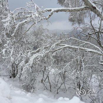 海林雪乡林子草堂酒店提供图片