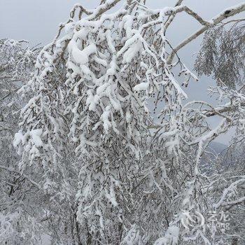 海林雪乡林子草堂酒店提供图片