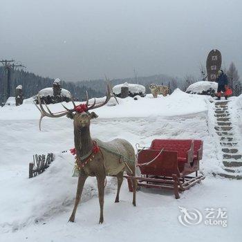 海林雪乡林子草堂酒店提供图片