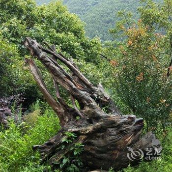 海螺沟榕栖观景楼酒店酒店提供图片