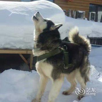 雪乡刘媛媛家庭旅馆酒店提供图片