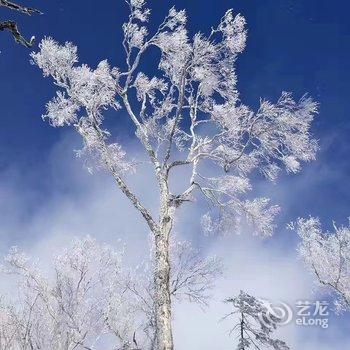 雪乡刘媛媛家庭旅馆酒店提供图片