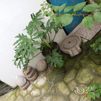 朱家角和处·oldstudio酒店提供图片