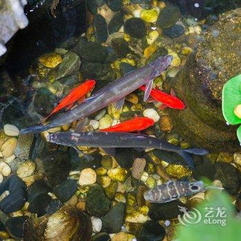 周庄烟雨江南精品客栈酒店提供图片