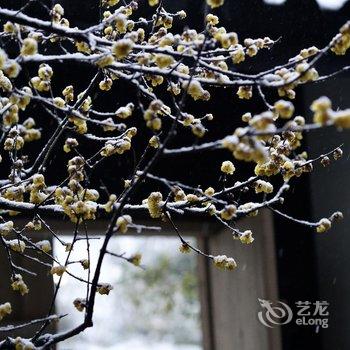 上海青浦华医四季养生山庄酒店酒店提供图片