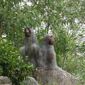 漳州云霄大山海景旅游度假山庄酒店提供图片