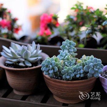 腾冲和顺海涛媳妇家精品客栈酒店提供图片
